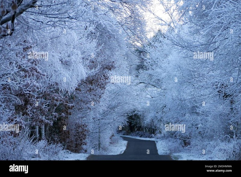 Evolution of Live Ice Fishing Games in the UK Market Rise